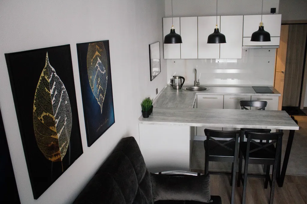 Стильная квартира с видом на Двину