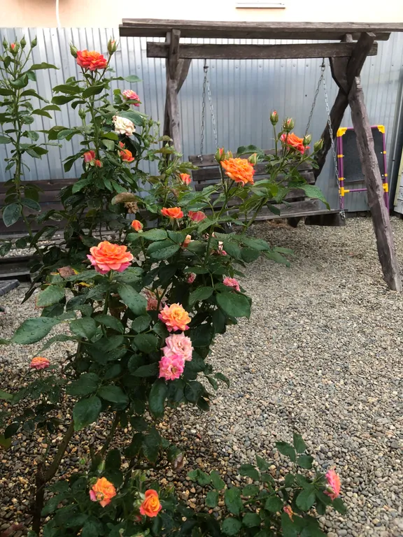 Номер-студия с балконом