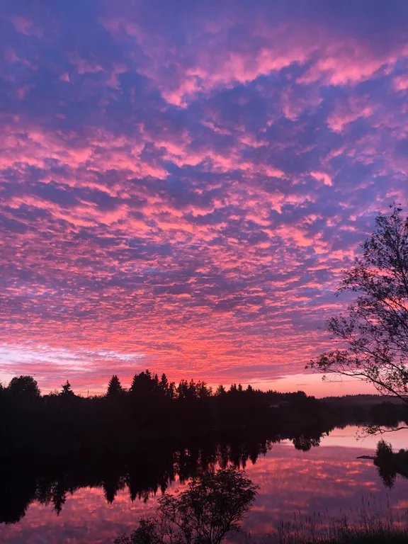 Коттедж на берегу реки