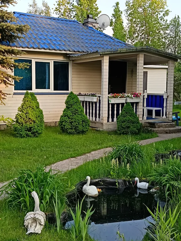 Коттедж Уютный загородный домик среди елок рядом с городом — Янино-1