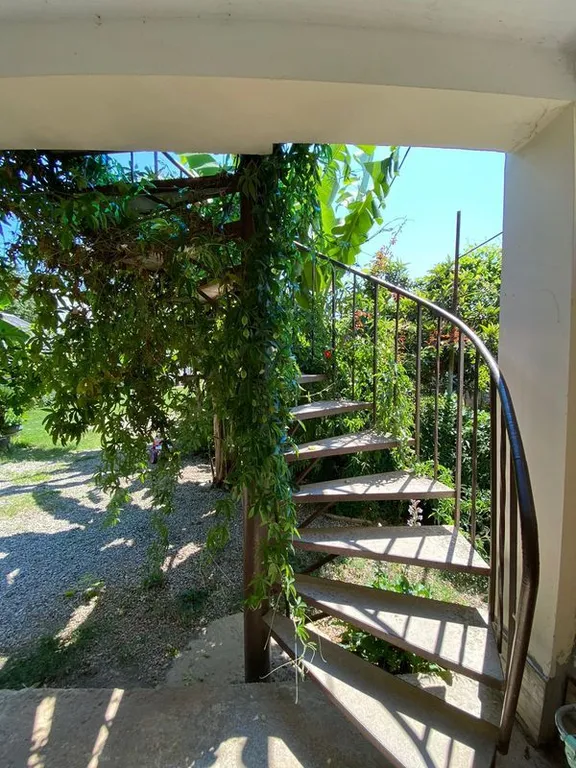 Гостевой дом «Давид» ждет вас для уютного отдыха в Абхазии!