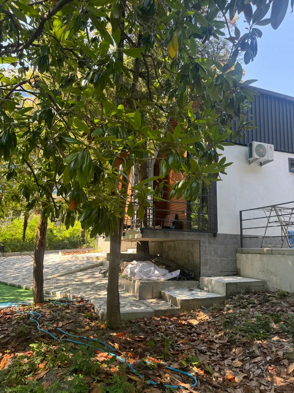 Оазис на море