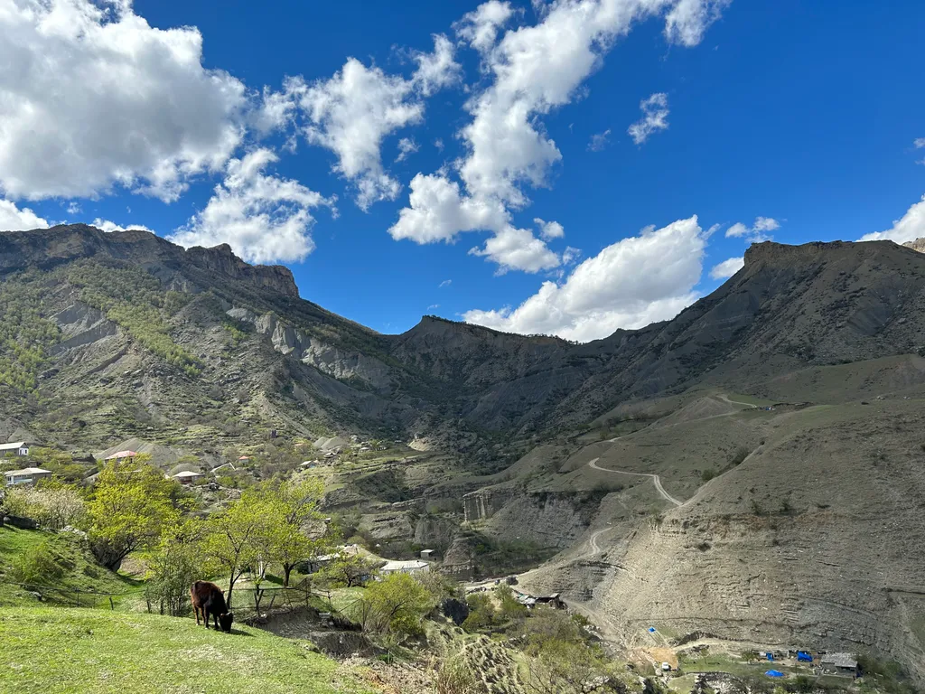 Большой уютный дом