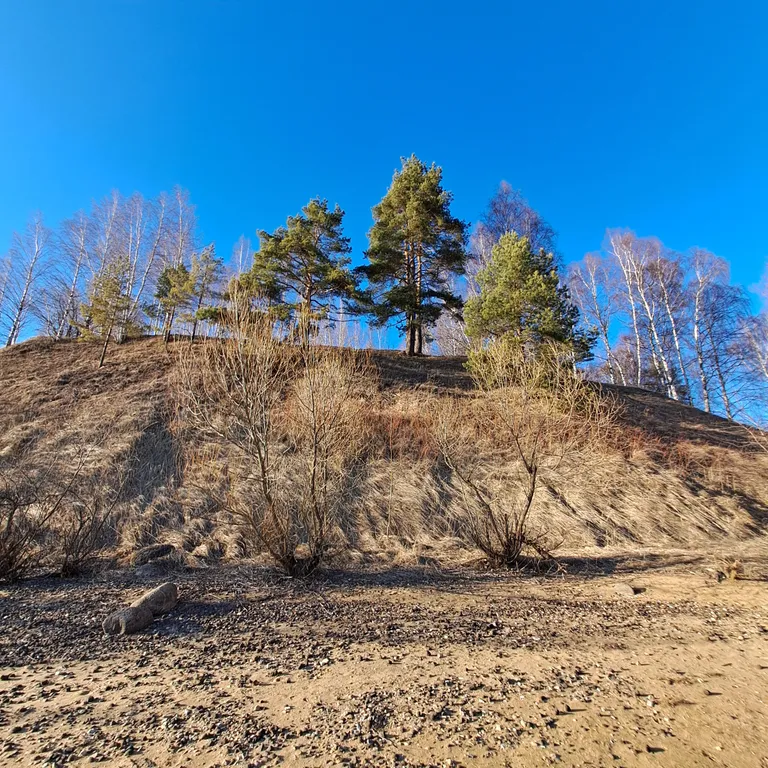 Уютный дом с баней