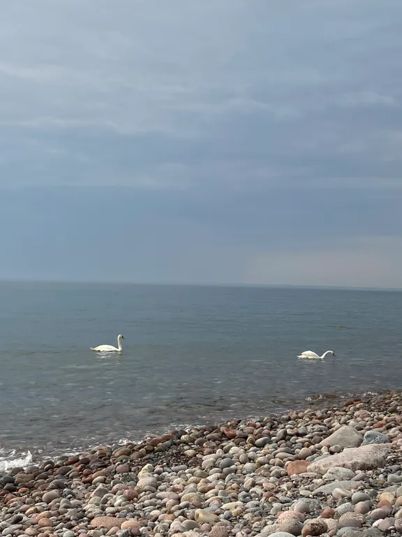 Уютная квартира у моря