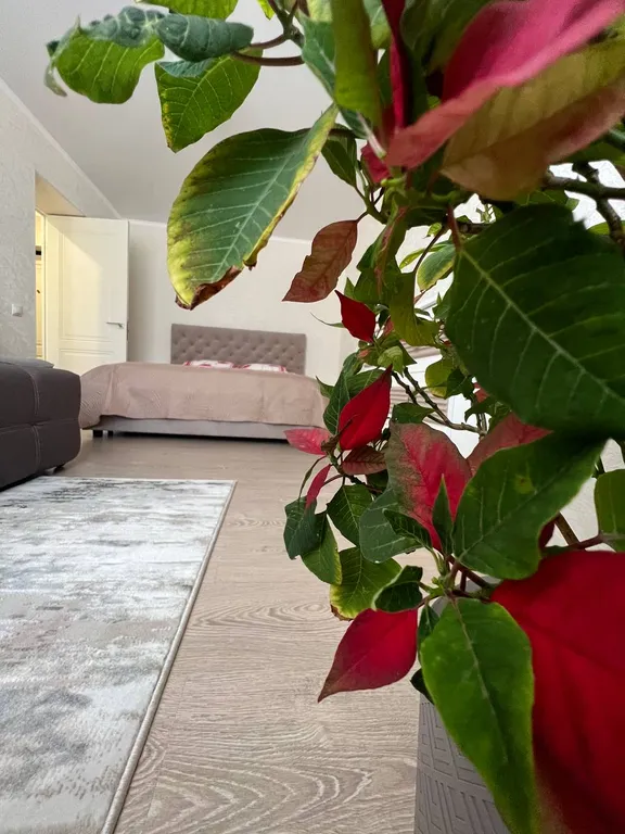 Уютная квартира с абсолютно новым ремонтом и техникой