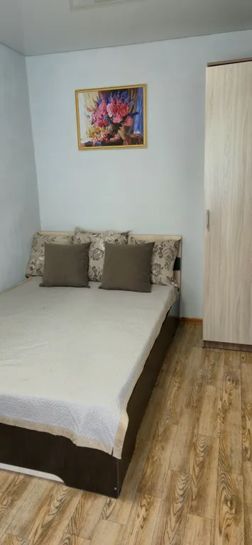 Уютная квартира в районе Сероглазка — аренда посуточно в Петропавловск-Камчатский