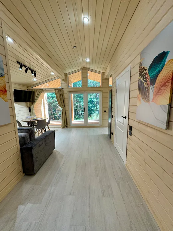 Дизайнерский коттедж возле курорта Игора (серый Balance)