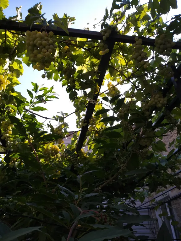 Второй этаж уютного домика