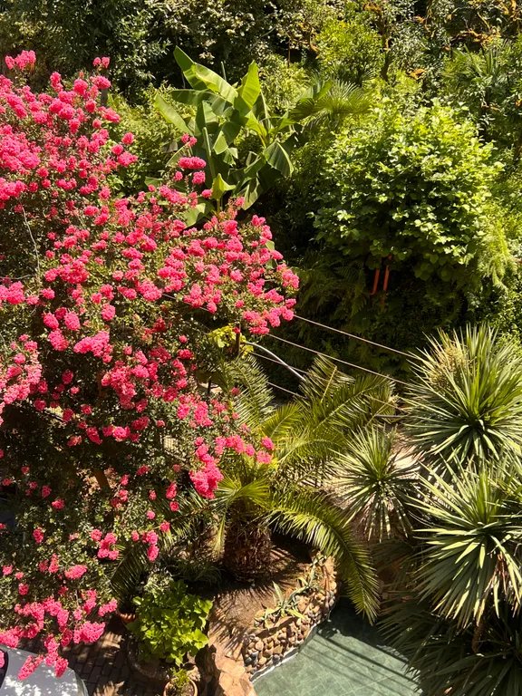 Квартира 2-комнатный люкс с кухней и видом на море — Батуми