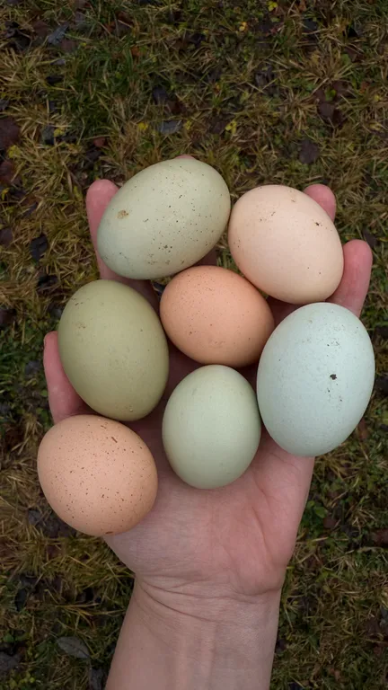 Уютный домик в лесу с горячим чаном