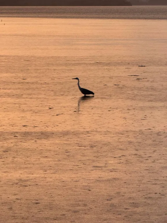 Дом у Озера Екатеринбург