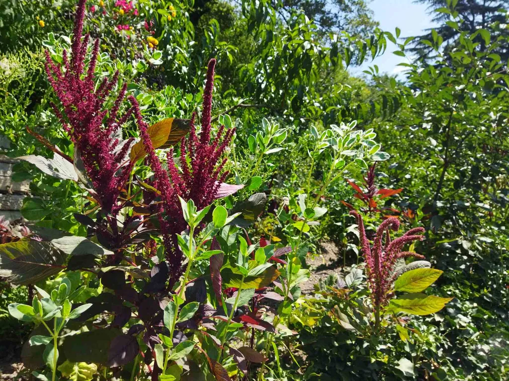 Коттедж Домик в Красном Раю — Изобильное