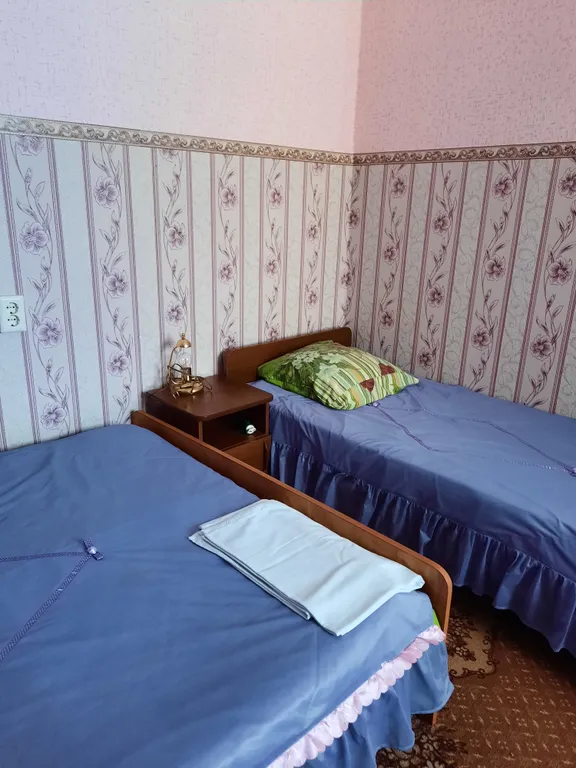 Квартира Квартира Трёхместный номер эконом класса с кондиционером с июня по сентябрь — Анапа