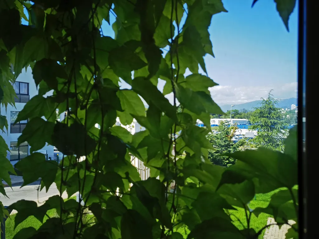 Квартира с 1 спальней Parkland