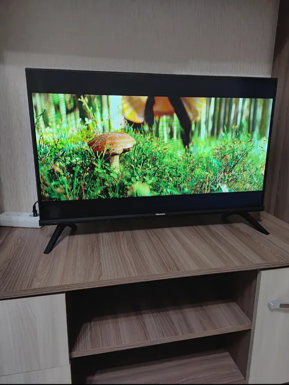 Любимый уголок в Бобачевской роще