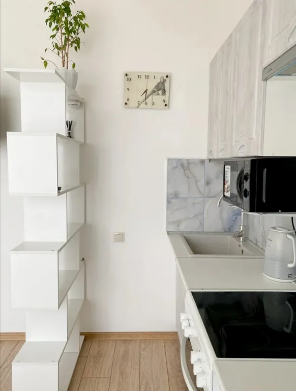 Квартира Квартира Студия возле моря и Олимпийского парка — Сириус