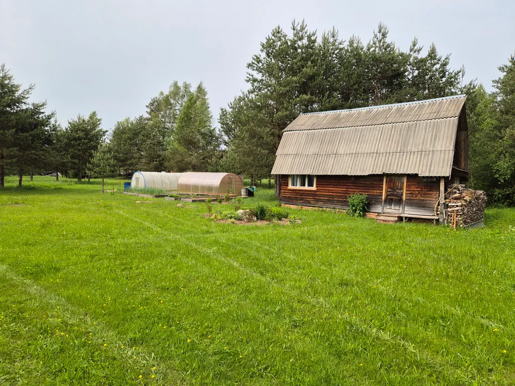 Усадьба Сосновый хутор на берегу реки Мста