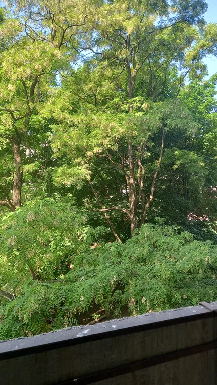 Квартира в центре города у Нижнего пруда - исторический центр