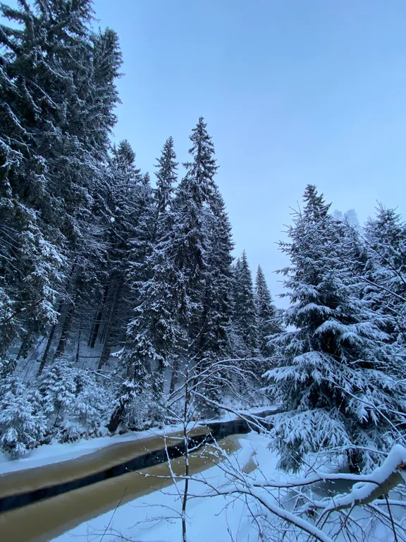 Гостевой дом в Карелии-Йокихутор