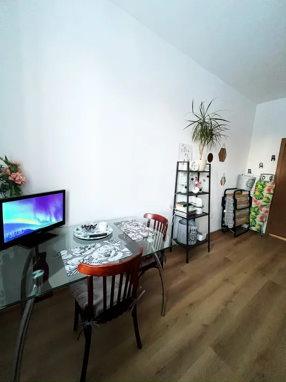 Квартира Квартира Эко-студия у НМИЦ Петрова — Песочный