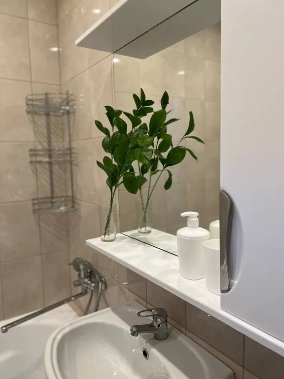 Апартаменты в центре города