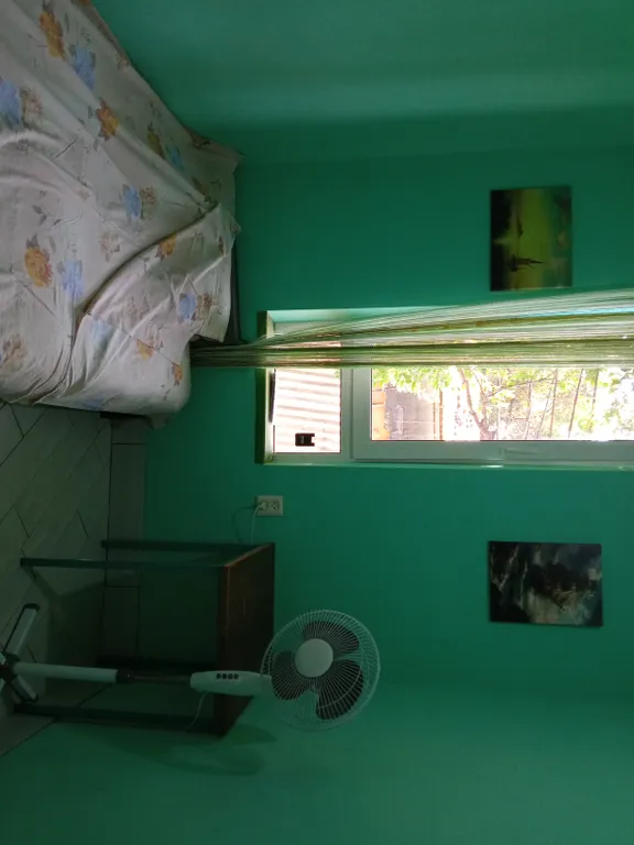 Одноместный номер, эконом