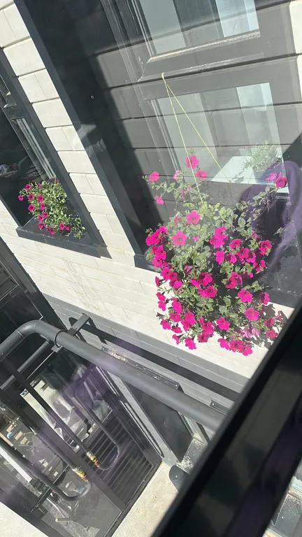 Новая, уютная, чистая однокомнатная квартира со всеми удобствами