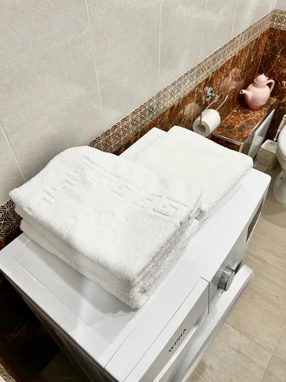 Евро однушка с видом на Бештау