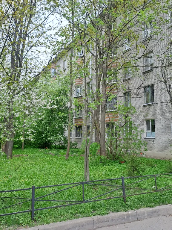 Трешка с домашней атмосферой недалеко от Экспофорума и аэропорта