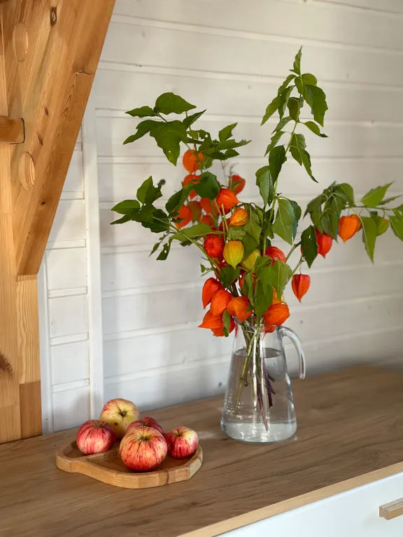 Загородный дом Сканди с баней и чаном