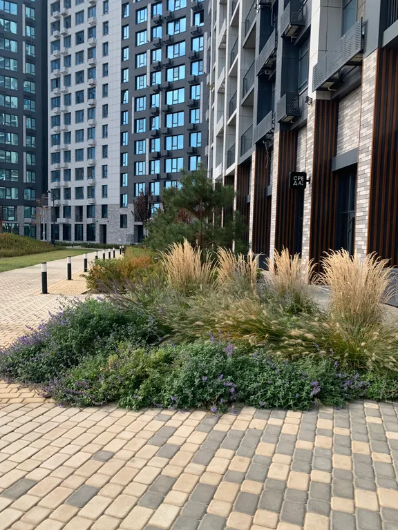 Квартира на берегу Волги