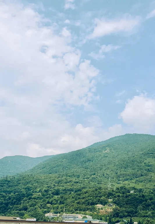 Квартира Уникальная двухкомнатная квартира в центре с шикарным видом — Гагра