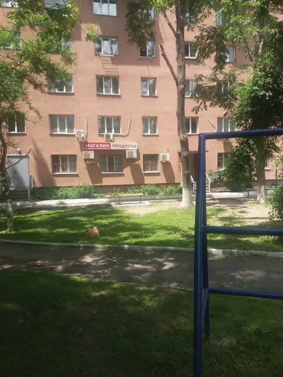 Квартира Квартира с видом на море — Владивосток