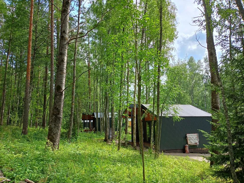 Дом с видом на лес