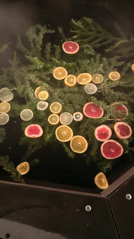 Дом с баней и чаном