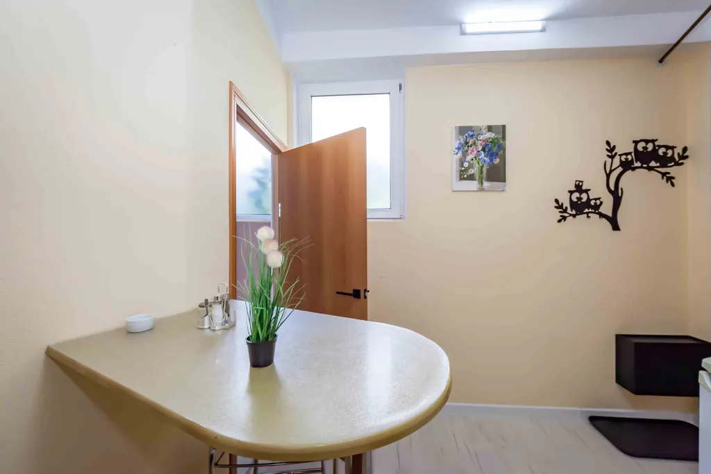 Светлая квартира в центре