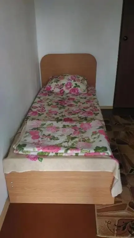 Трехместный номер с основными удобствами