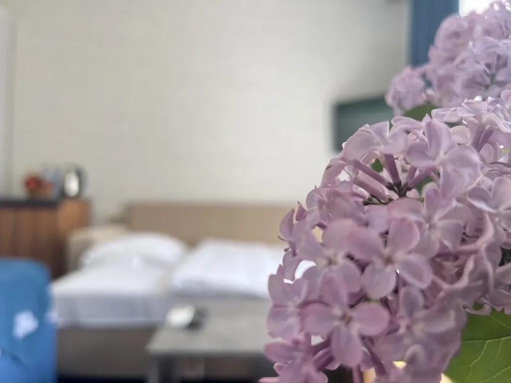 Стандарт Твин