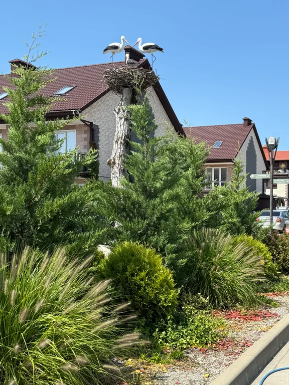 Коттедж Таунхаус рядом с морем — Сочи