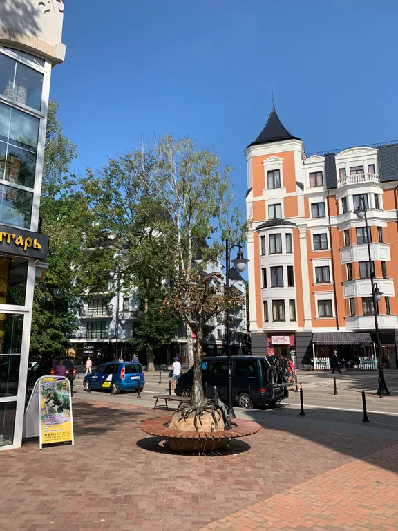 Квартира 1-комнатная Квартира — Светлогорск