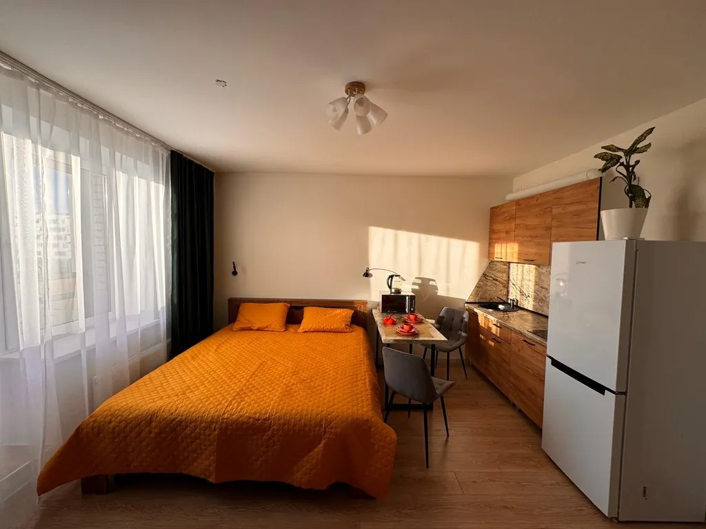 Квартира Квартира Студия Песочный, НИИ Петрова/Гранова/Напалкова — Песочный