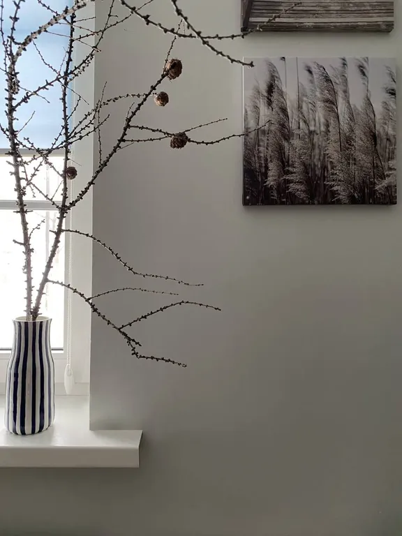 Студия с отдельным входом