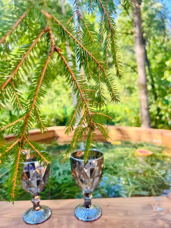 Медвежий угол