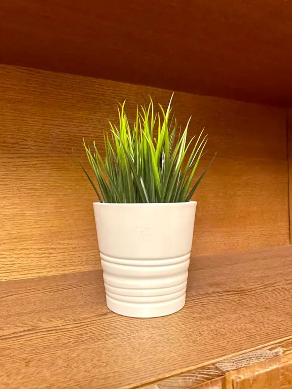 Красивая квартира недалеко от аквапарка в удобном районе