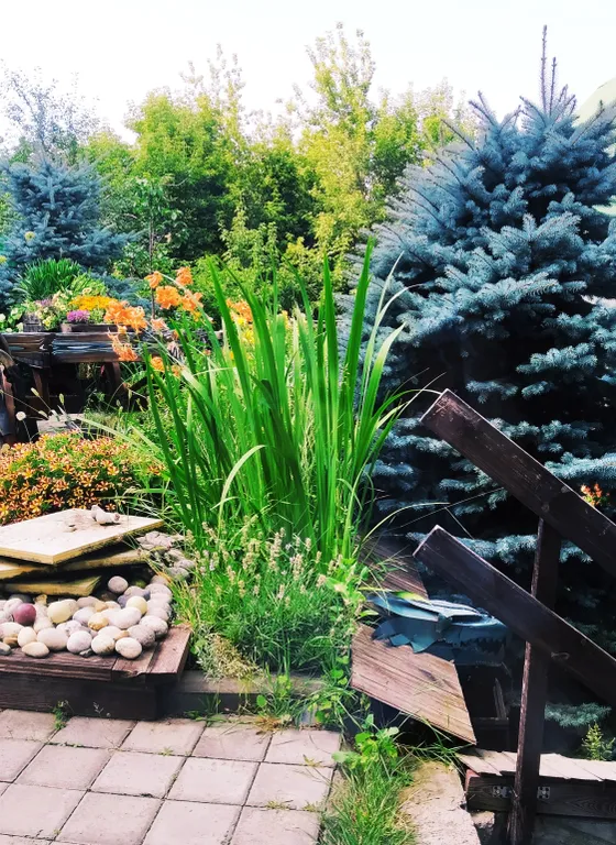 Коттедж Удивительный дом, уголок природы в центре — Казань