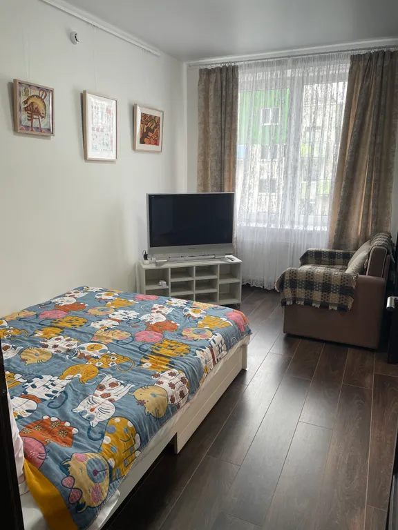 Душевная квартира-студия