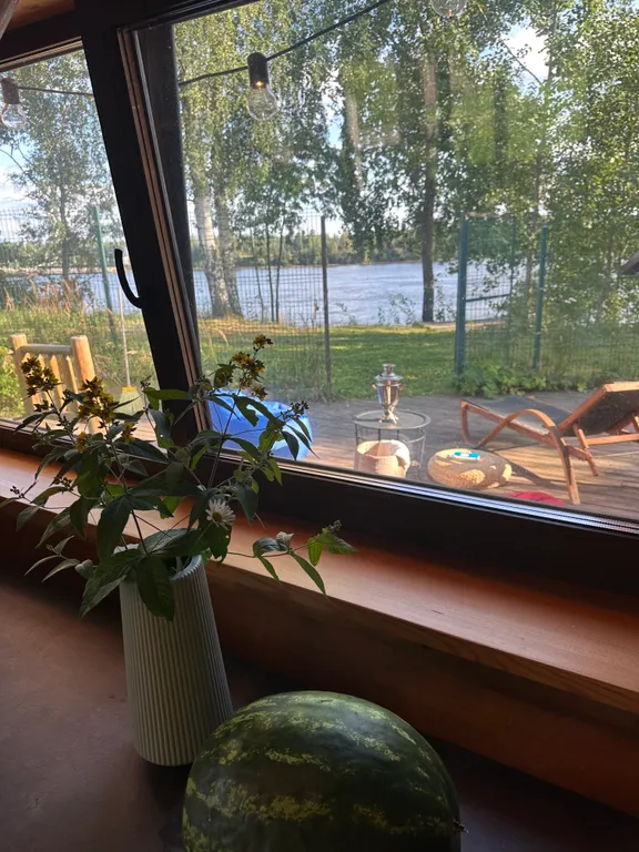 Дом с баней на Неве