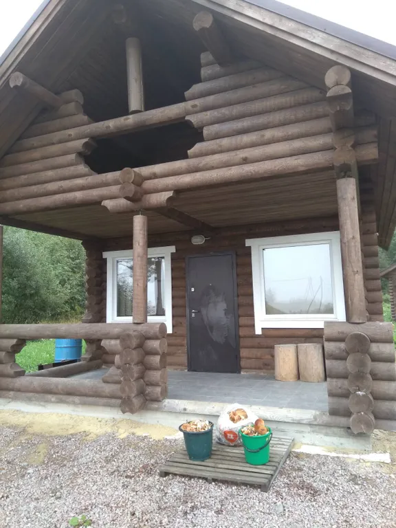 Гостевой дом Озеро и лес