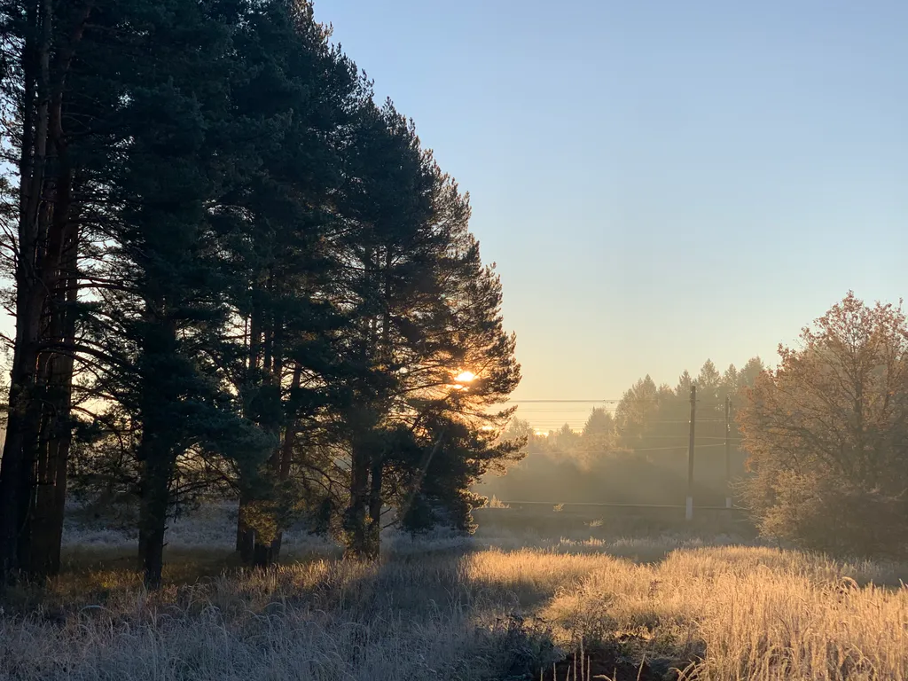 Новый уютный дом-баня с банным чаном у соснового леса